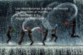 /album/fotogaleria/a1485-605042136187247-1184338684-n-jpg/